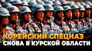 СВО новости 2025 - Северокорейский спецназ снова в Курской области
