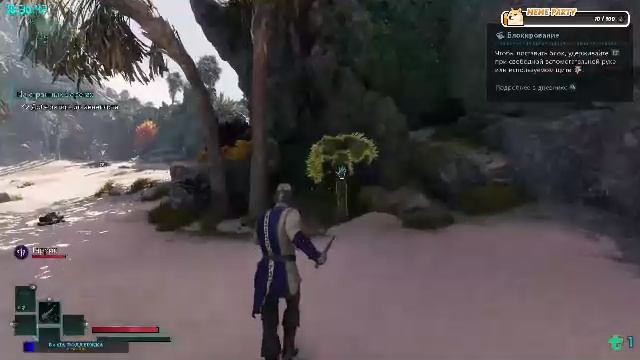 Avowed. Первые шаги