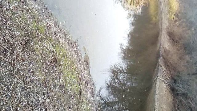 VID_20191028_134827 смотреть онлайн