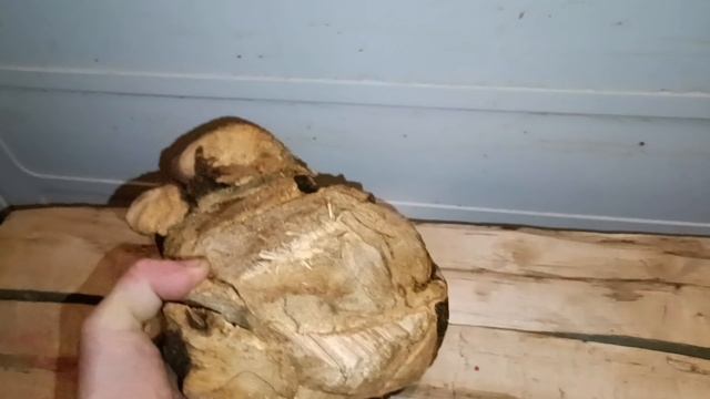 чёрные лесорубы, серые браконьеры, трупы животных. (беременным детям до 18 лет за рулём не смотреть) смотреть онлайн