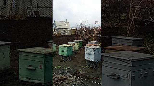 VID_20191107_104111 смотреть онлайн