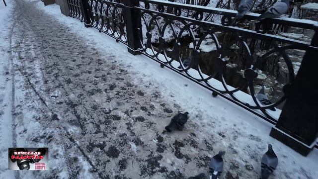 Дом в котором был первый крематорий в Санкт Петербурге/склеп из фильма Брат. смотреть онлайн