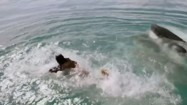 5 Headed Shark Attack 2017 смотреть онлайн