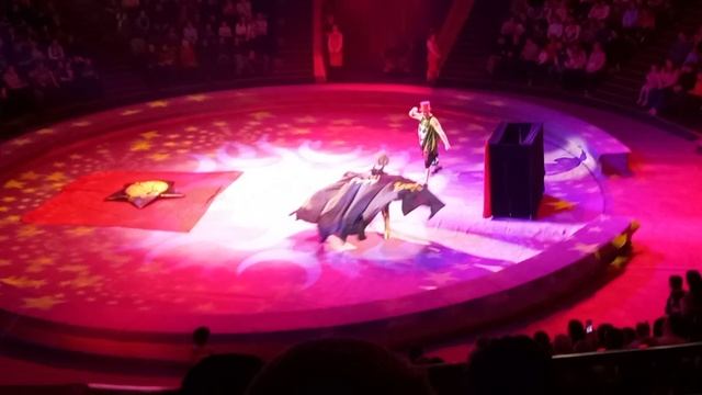 Фокусники в цирке!