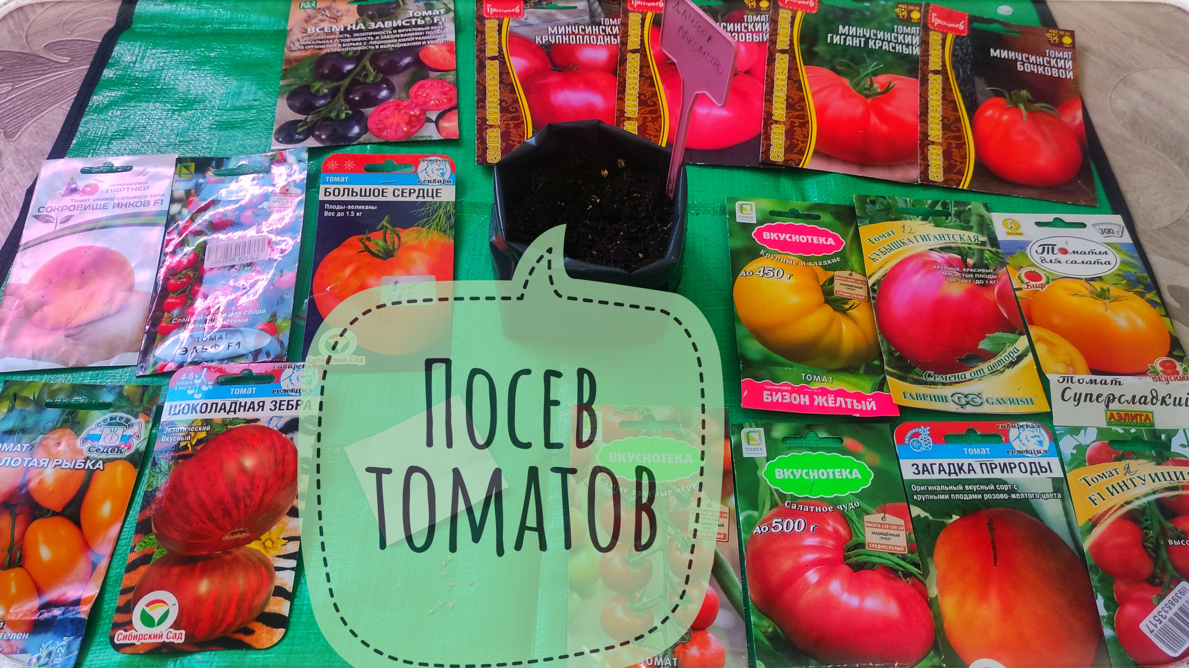 Посев томатов на рассаду для теплицы. Сеем томаты в марте. Какие сорта посажу в сезоне 2025. смотреть онлайн