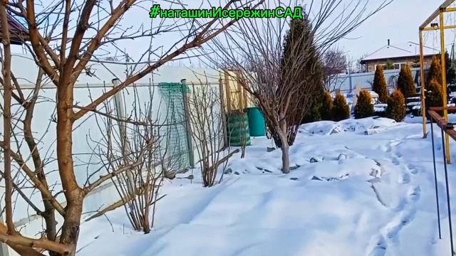 Весенняя ПОСЫЛКА с саженцами, 
ЧТО ДЕЛАТЬ🤔⤵️
Https://m.vk.com/@moiagortenzia-chto-mne-delat-po-polu