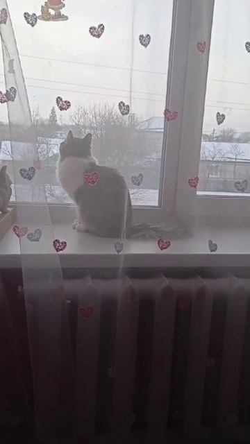 охотник