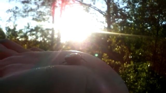 СкайРус приветствует Дариялу смотреть онлайн