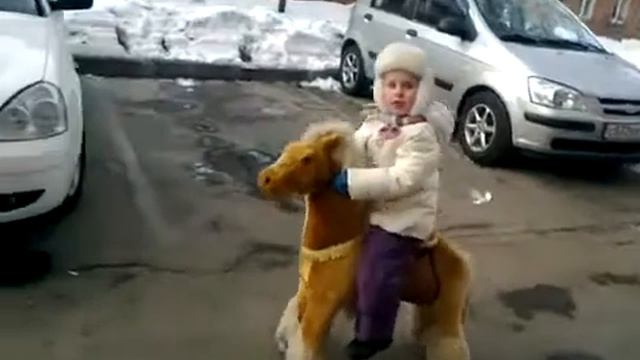 Поницикл - королевская малая лошадь, видео хорошее