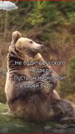 НЕ БУДИТЕ РУССКОГО МЕДВЕДЯ! смотреть онлайн