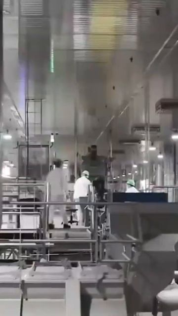 Como São Feitas As BATATAS Do MC Donalds? #shorts #curiosides #mcdonals #fatos