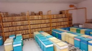 Нуклеусы с лесного