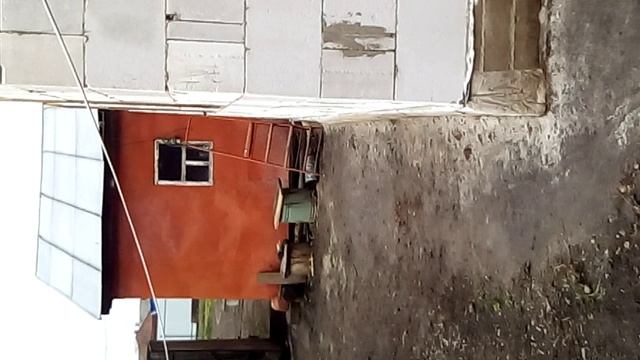 VID_20191107_104506 смотреть онлайн