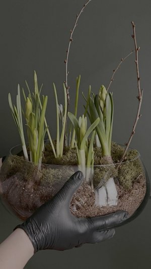 Композиция первоцветы стекло большая