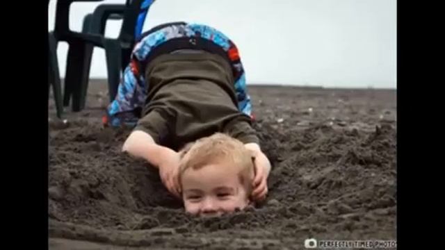【衝撃】少し切ない思わず二度見してしまう画像集　嘘のような目が釘付けになる決定的な瞬間の衝撃写真① смотреть онлайн
