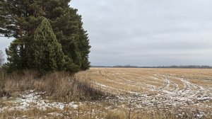 ТАКОГО У МЕНЯ ЕЩЕ НЕ БЫЛО - ДВА ЗАЙЦА НА ОДНОЙ ПОЛЯНЕ!