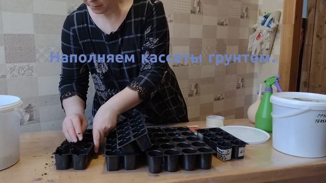 Выпуск 2. Прорастание семян баклажан и перца. Посев томатов на рассаду смотреть онлайн