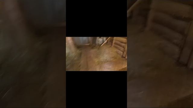 обзор на животных в деревне😁 смотреть онлайн