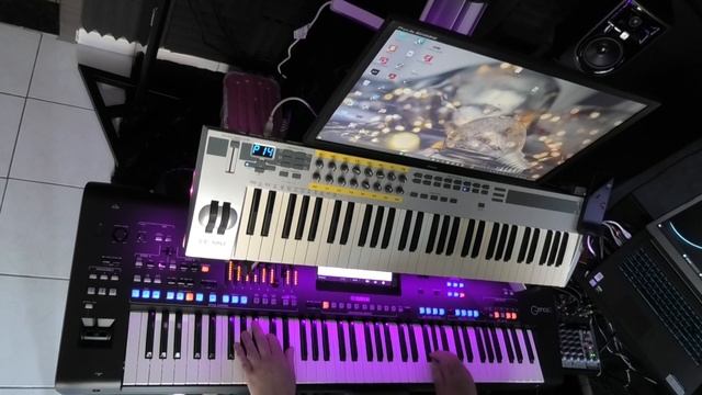 Ottawan - Hands Up / Yamaha Genos 2 смотреть онлайн