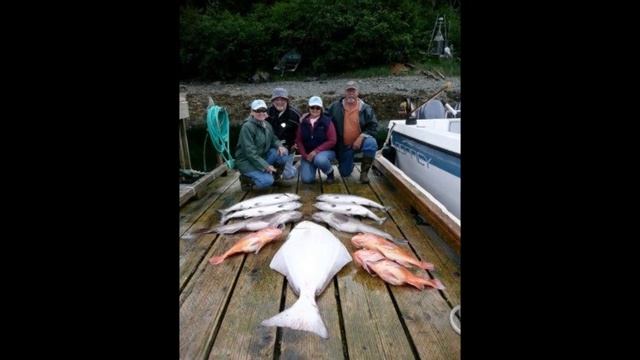HALIBOUT / PALLAS 2010.wmv смотреть онлайн