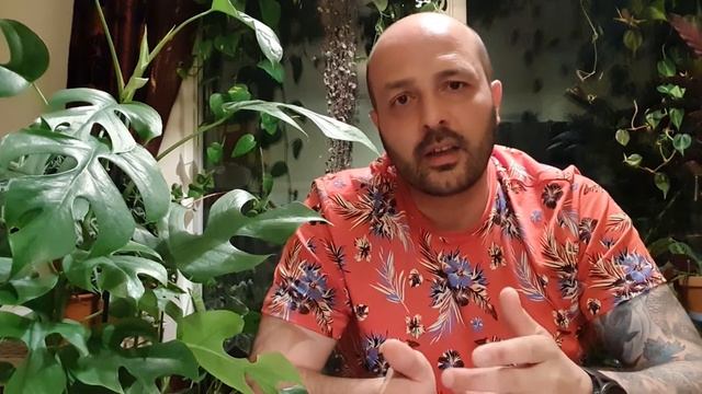 Raphidophora Tetrasperma смотреть онлайн