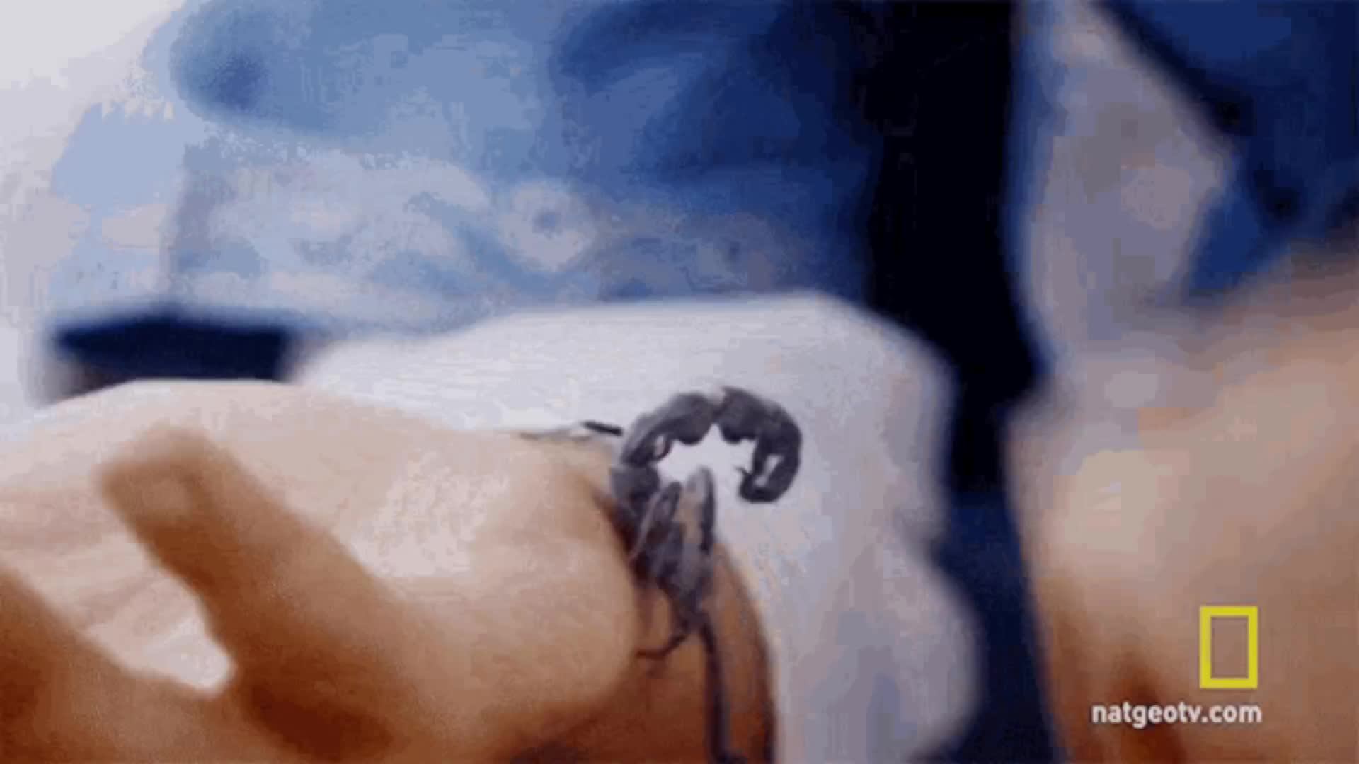 ВЕЧЕР ДОБРЫЙ