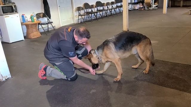 сит давн пт 1 смотреть онлайн