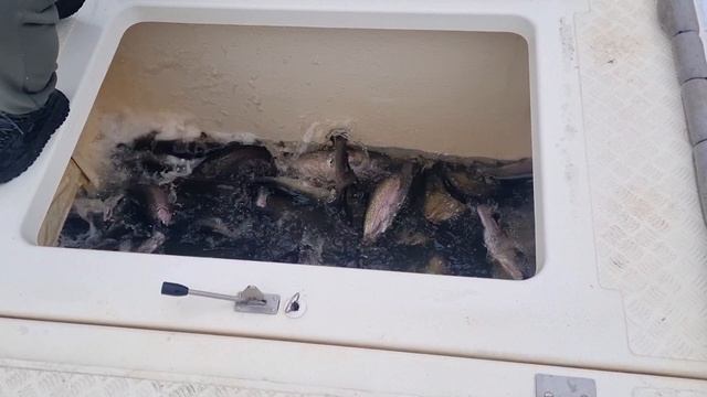 03-03-2025 смотреть онлайн