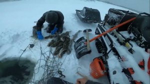 (44). Успешная рыбалка на налима в метель. 08.01.2022