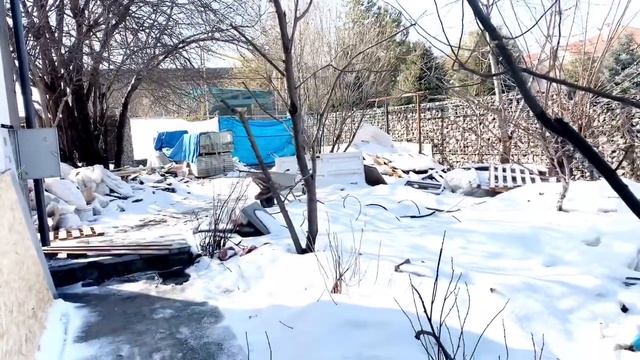 Жеміс ағаштарын Қысқы кесу жұмыстары.Кесу нүктесі. Түрлі жағдайлар #агроном #ағаш #көшет #қазақша смотреть онлайн