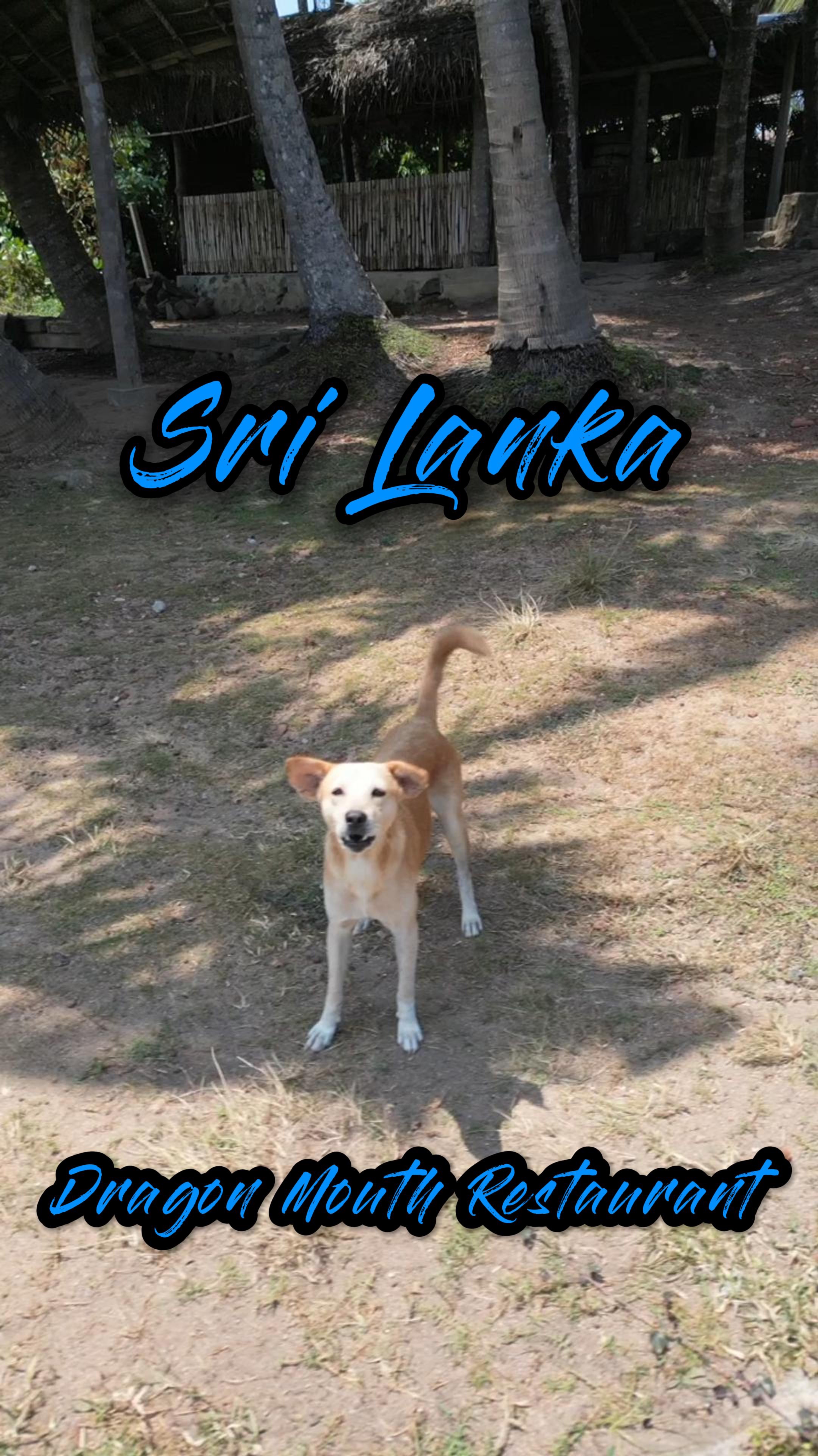 Dragon Mouth Restaurant