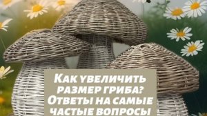 ГрибАннушки. Как увеличить размер гриба. Отвечаю на самые частые вопросы.