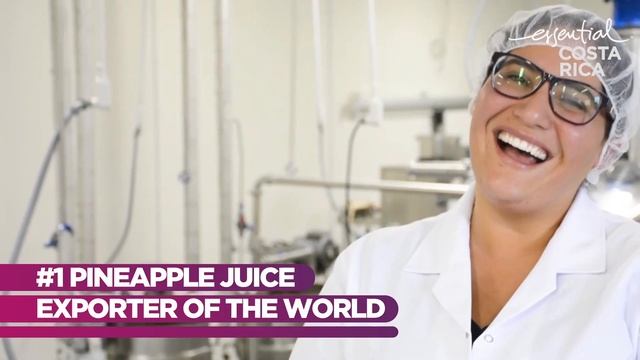 BTM 2023: Juices from Costa Rica смотреть онлайн