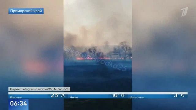 Первый канал, 3 марта 2025, Природные пожары в Приморском крае смотреть онлайн