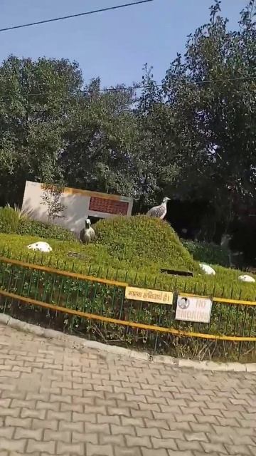 kurukshetra Mini Zoo||Short video смотреть онлайн