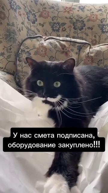 Все учел... кроме того, что не учёл)))