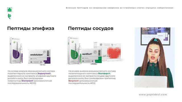 Влияние пептидов на созревание нейронов из стволовых клеток (процесс нейрогенеза) смотреть онлайн