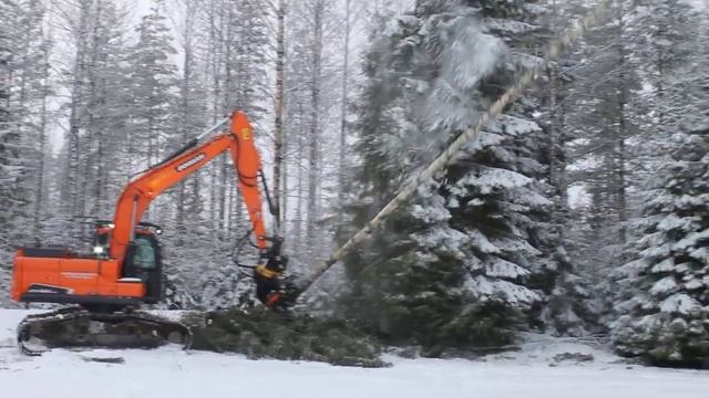 JAK-300 Tree Shear with a excavator | Felling a long birch wood and cut it into a pieces | Jak.fi смотреть онлайн
