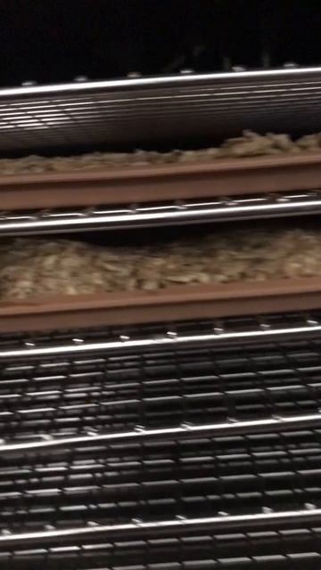 Best Raw Granola @FullyRawKristina смотреть онлайн