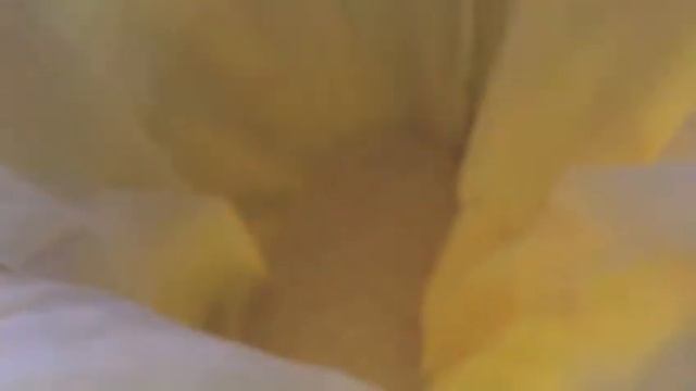 Comparison of the processing effect of japonica rice at the customer workshop смотреть онлайн