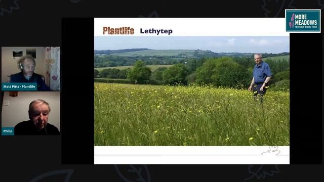 How to Create a Meadow, Matt Pitts смотреть онлайн