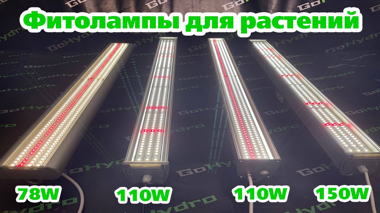 Фитолампы для растений и рассады