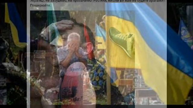 Там журавлі летіли клином - Пісня