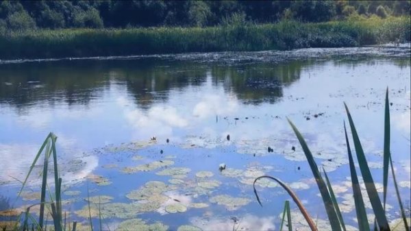 Благ и праведен