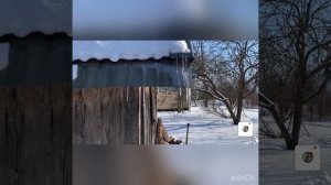 Живем на даче в - 27! Поездка на дачу зимой!