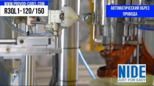 R3QL1-120/150 Автоматический станок намотки и втягивания всыпных обмоток статора