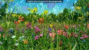 Каникулы строгого режима - Саундтрек