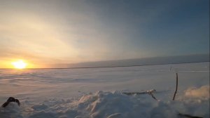 (45). Зимняя рыбалка на налима снастью перемёт. 12.01.2022