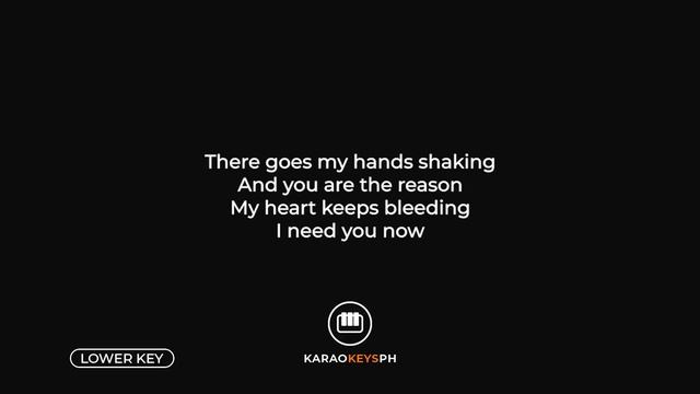 You Are The Reason - Calum Scott (Lower Key - Piano Karaoke)