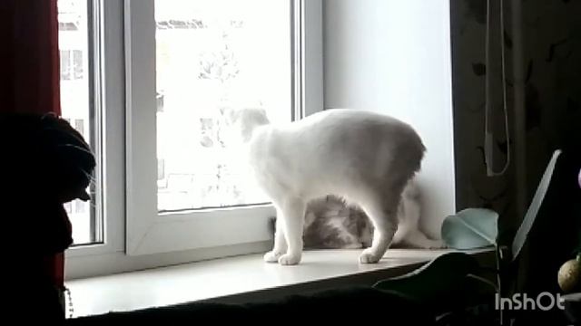 КАК Я ПРОВЕЛА ВЫХОДНЫЕ ... ЯНВАРЬ
